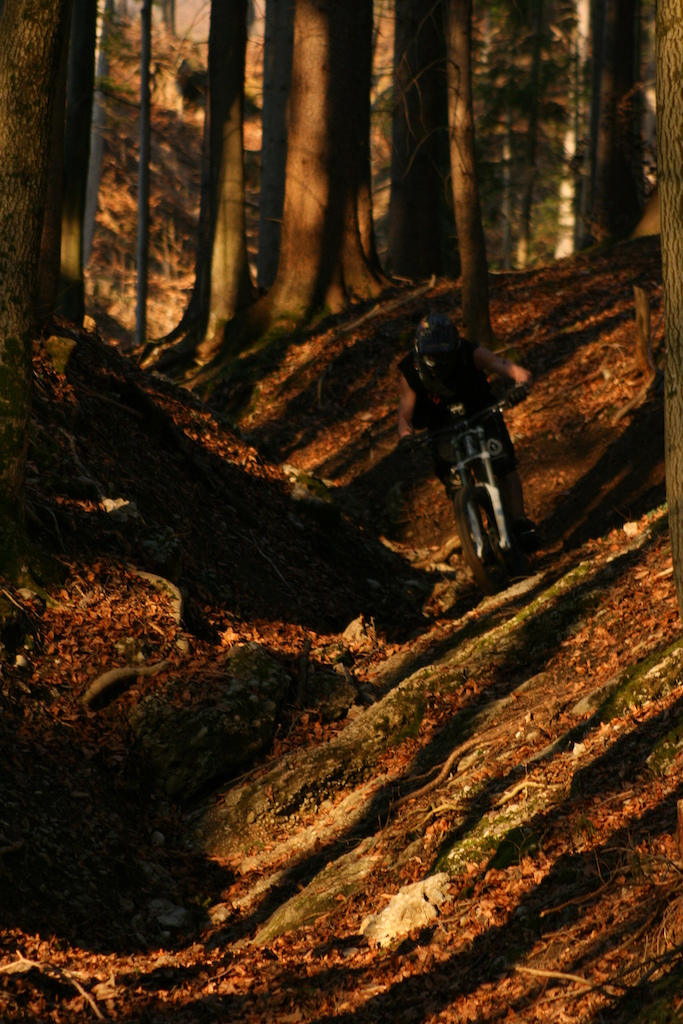 spring ride