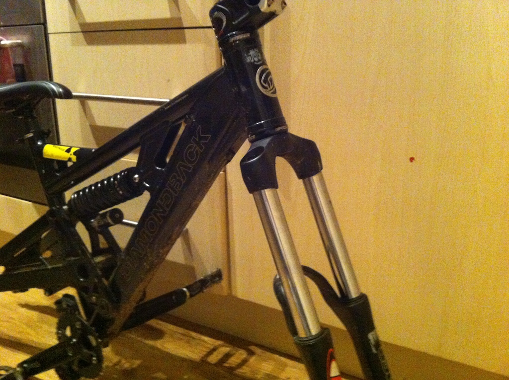 diamondback