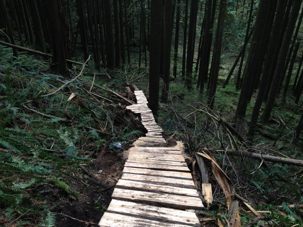 log ride/ladder bridge, almost done