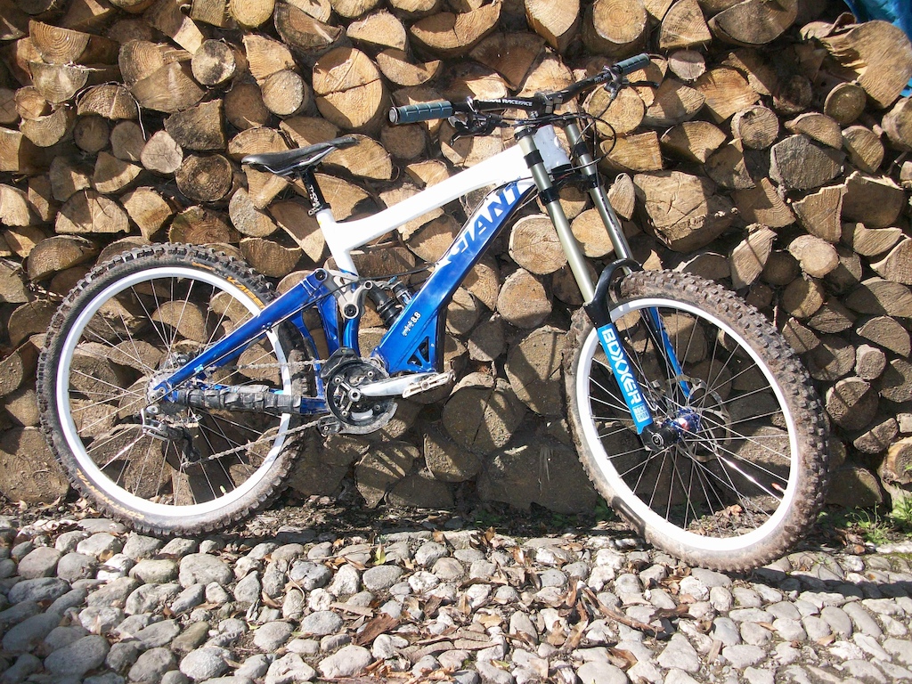 giant glory dh