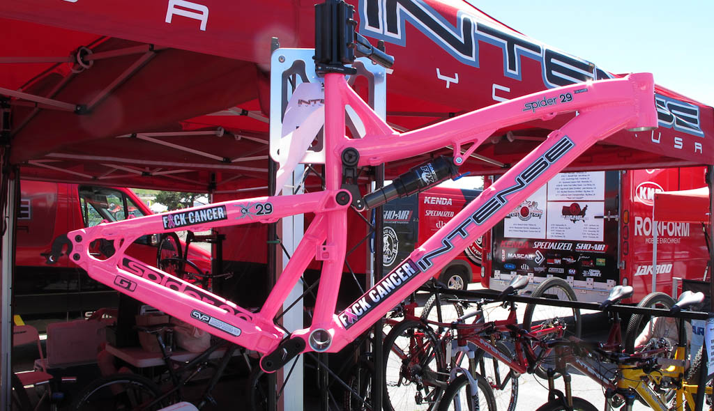 Intense Spider 29er