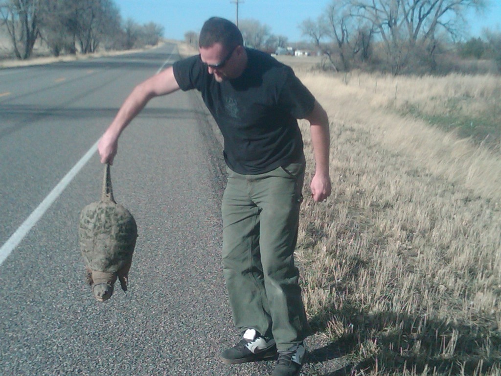 Movin this big 'ol American snapping turtle away from the highway while keeping distance between him and I!