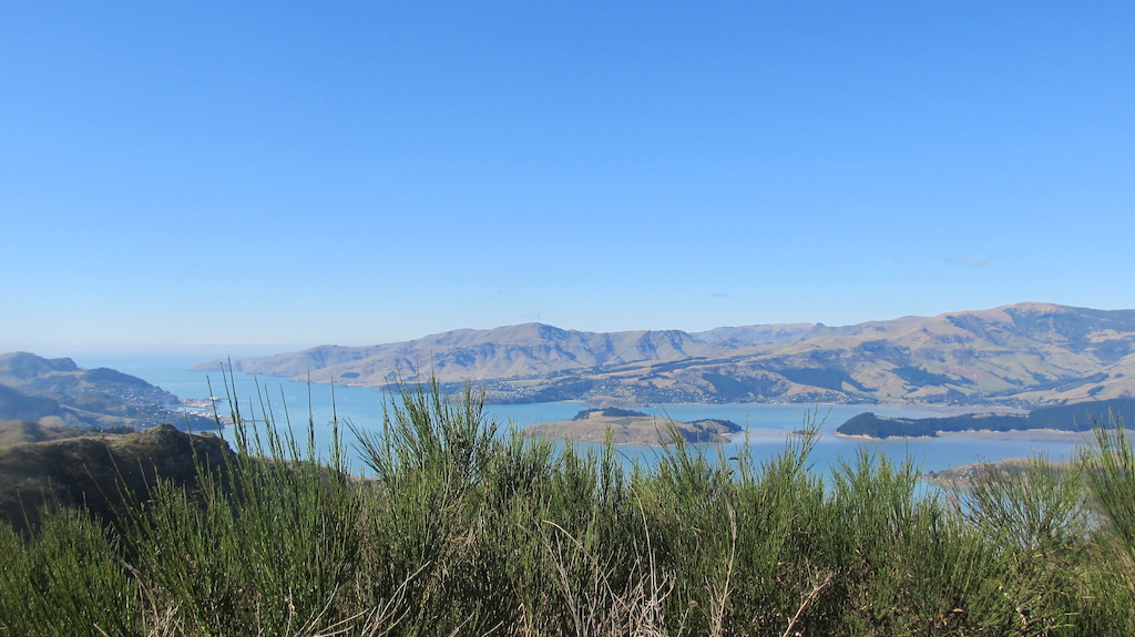 lyttleton man this country is awesome