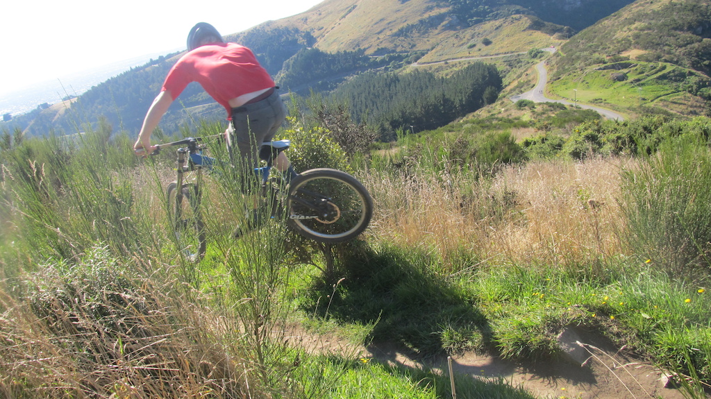 killing trees with ma back wheel