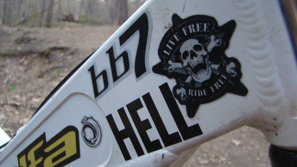 life free ride free decal and hell decal