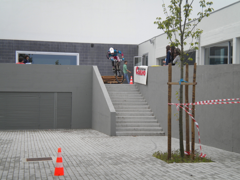 Escola secundária Garcia de Orta 2011