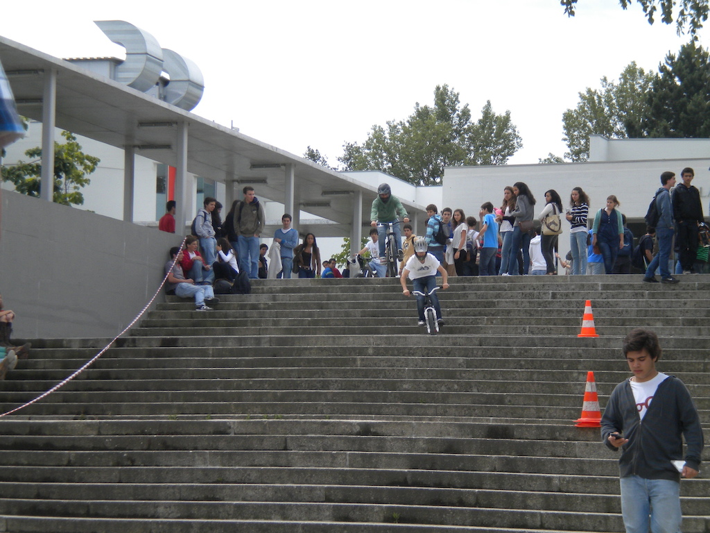 Escola secundária Garcia de Orta 2011
