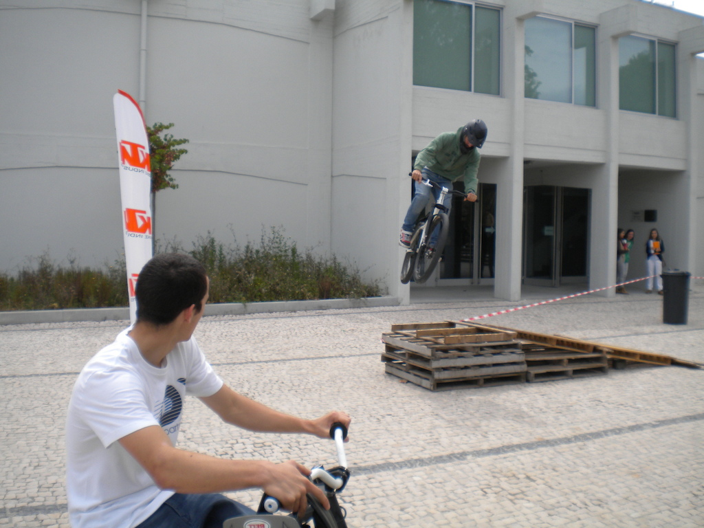 Escola secundária Garcia de Orta 2011