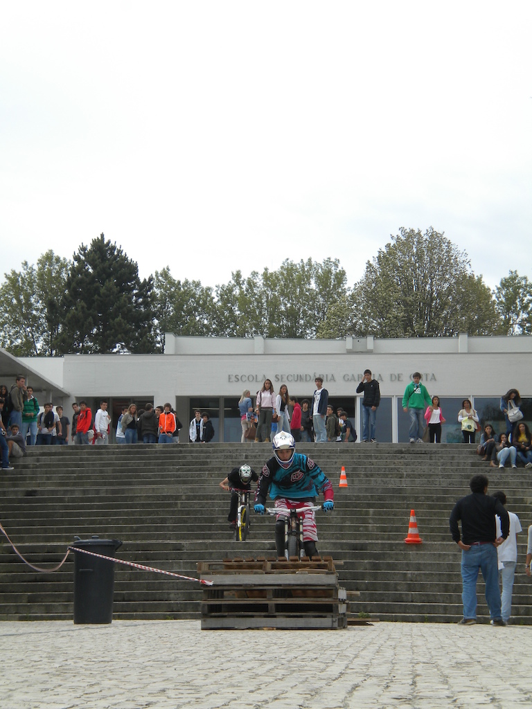 Escola secundária Garcia de Orta 2011