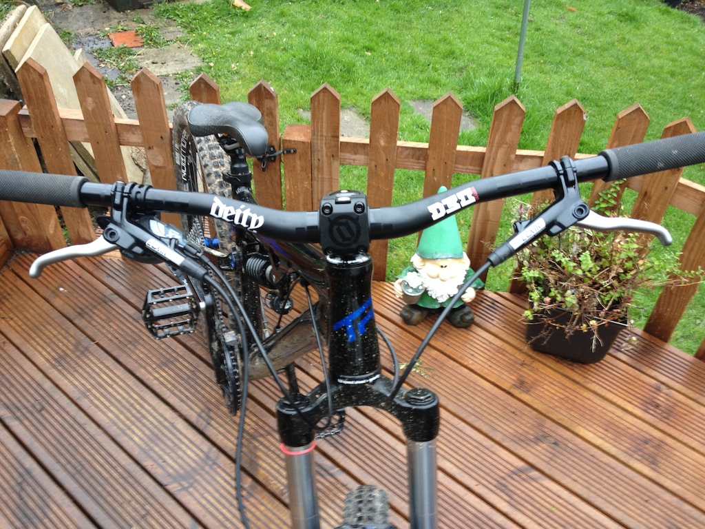 Deity Dirty30's &amp; Fantom stem