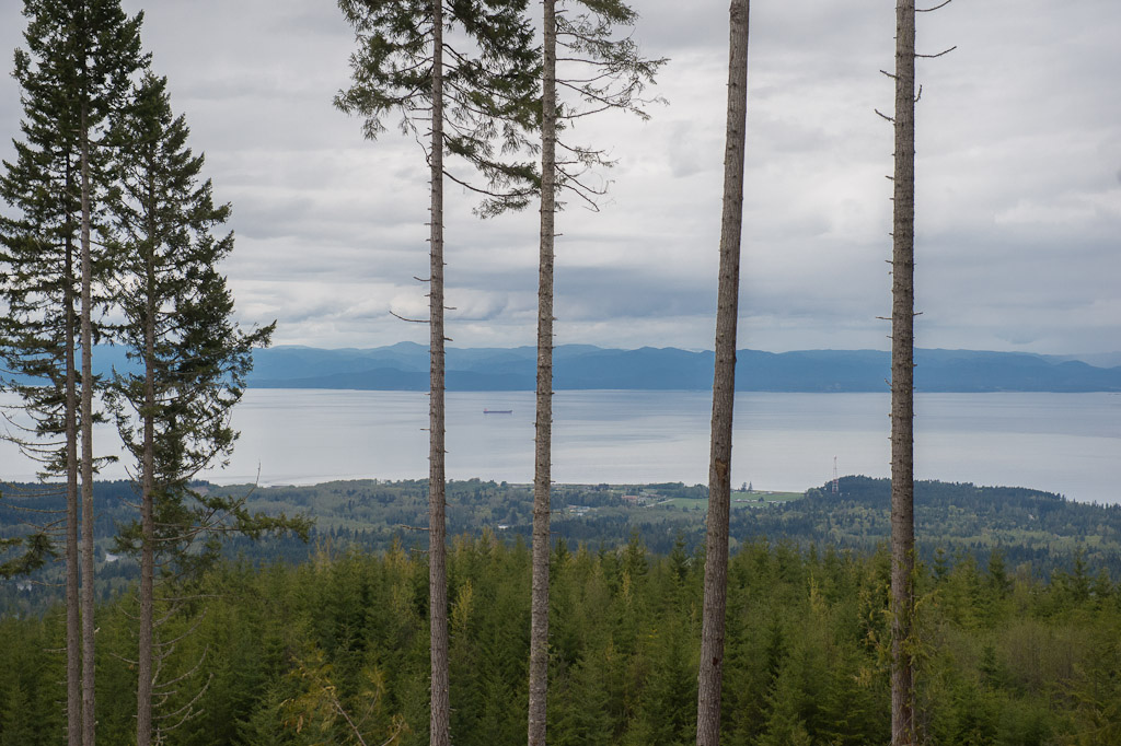 The awesome view from the top. Improved by the clear cut...