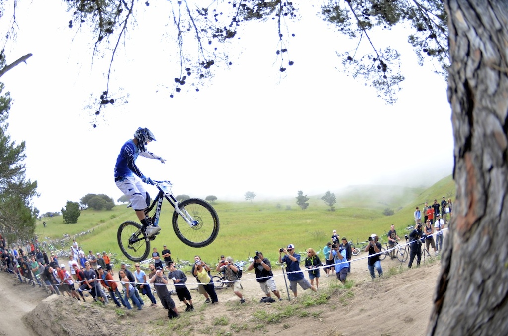 Sea Otter 2012