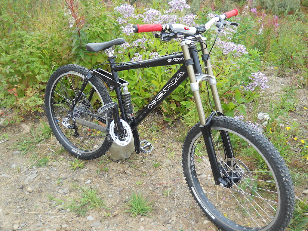 2004 Kona Stinky