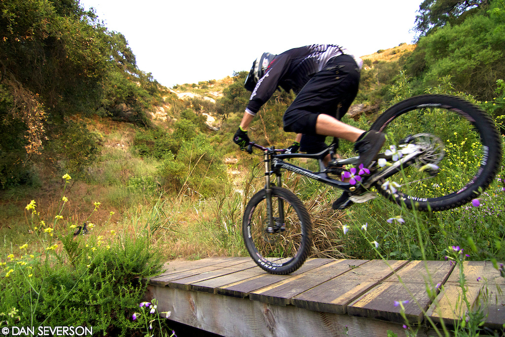 Nose Manny across the bridge...