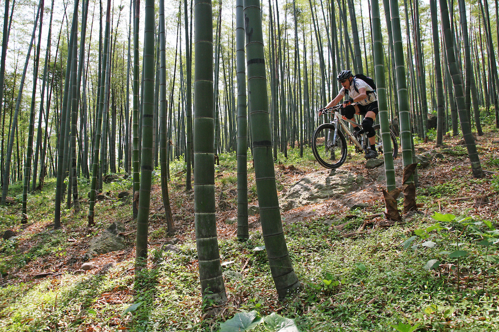 Summer is just around the corner. Perfect time to ride the bamboo forests of Moganshan.

Photos by A Yuan, Eric, Jean Luc