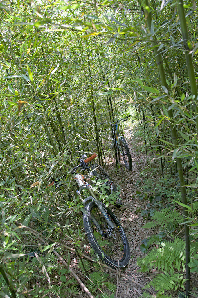 Summer is just around the corner. Perfect time to ride the bamboo forests of Moganshan.

Photos by A Yuan, Eric, Jean Luc