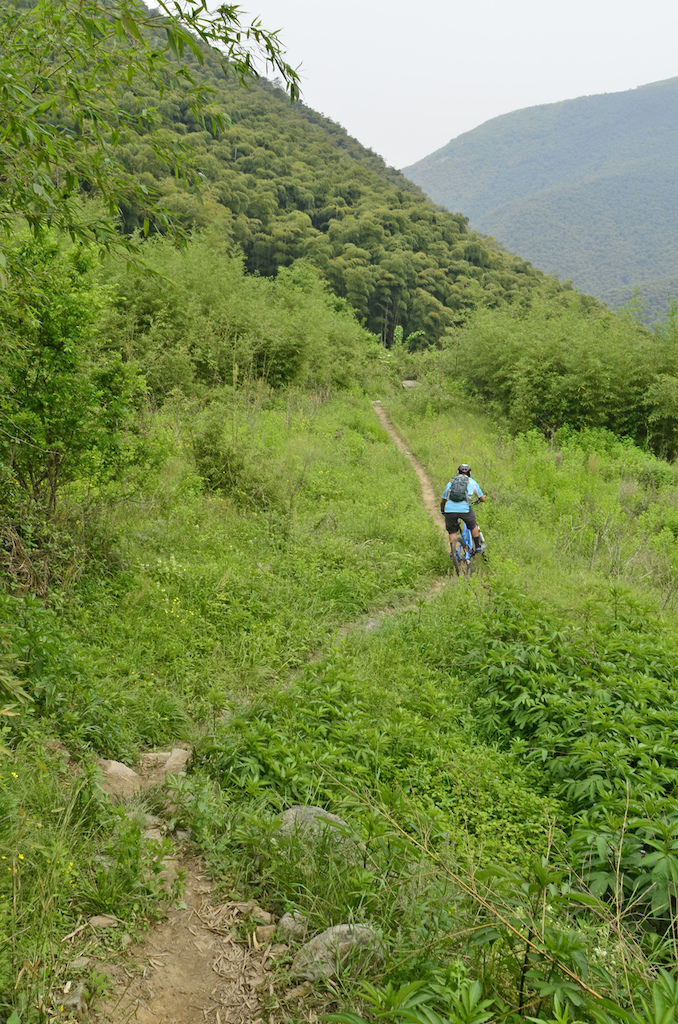 Summer is just around the corner. Perfect time to ride the bamboo forests of Moganshan.

Photos by A Yuan, Eric, Jean Luc