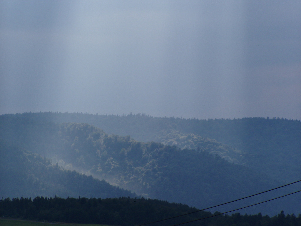 Po burzy. Okolice Ujścia Gorlickiego. Beskid Niski 2005.