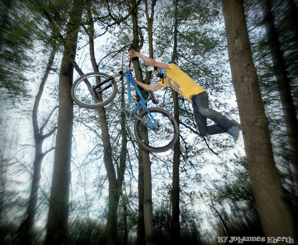 learned a new trick yesterday