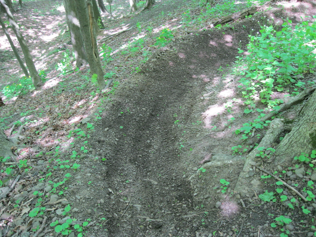 raked out berm on main trail
