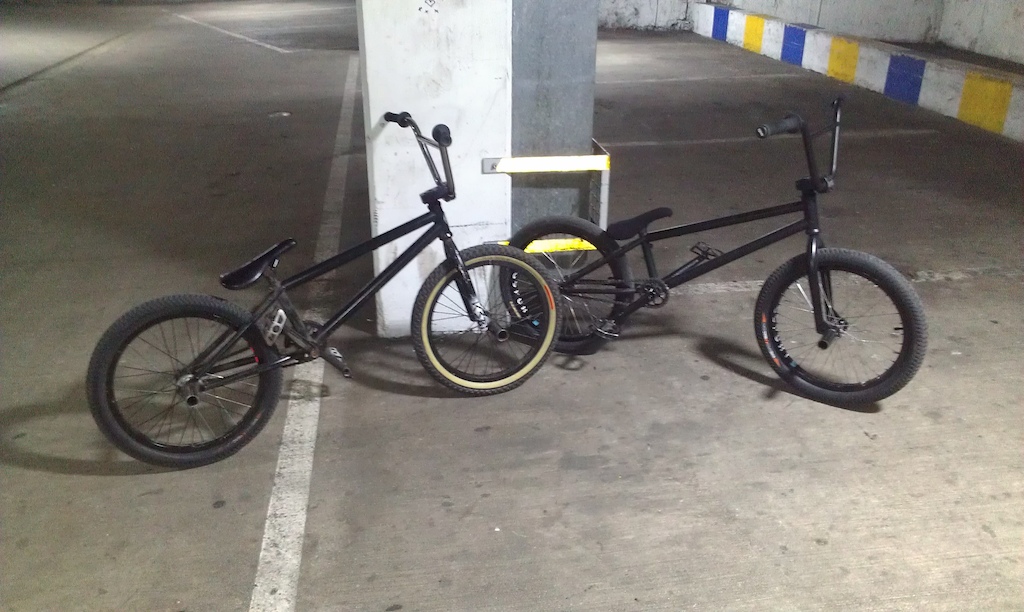 Mine and a friends steeds