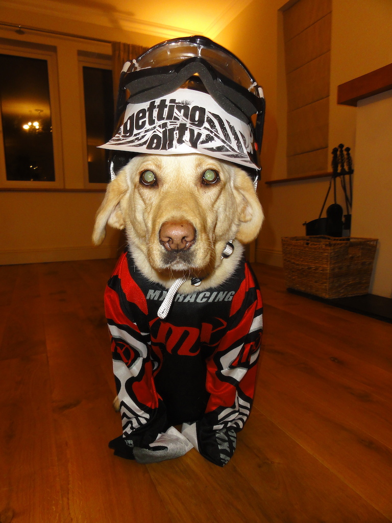 My little drew dressed up in my bike stuff!! What a legend i think she is stocked to go riding!!!