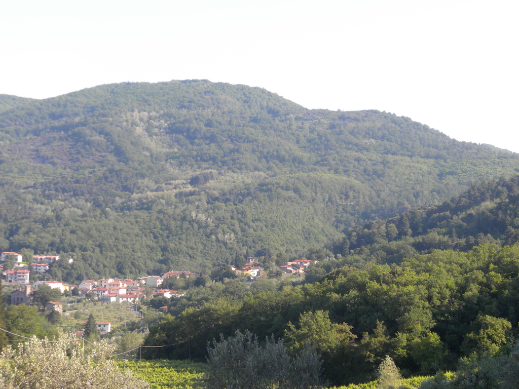 Santa Brigida con sullo sfondo Fontassenzio