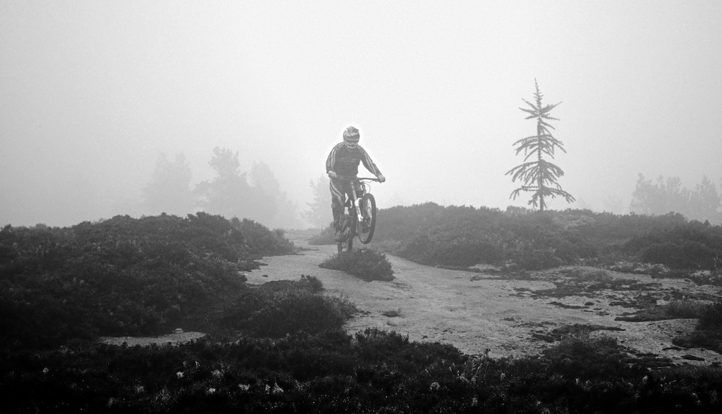 Some riding in the mist
