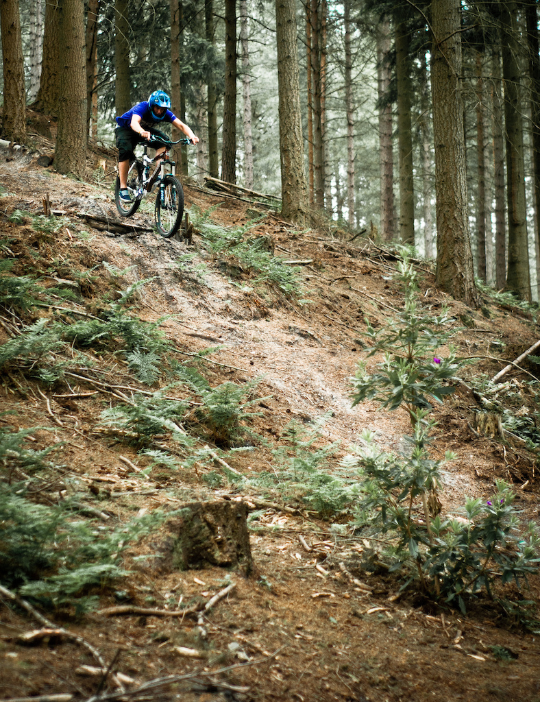 watchmoore bike park ringwood