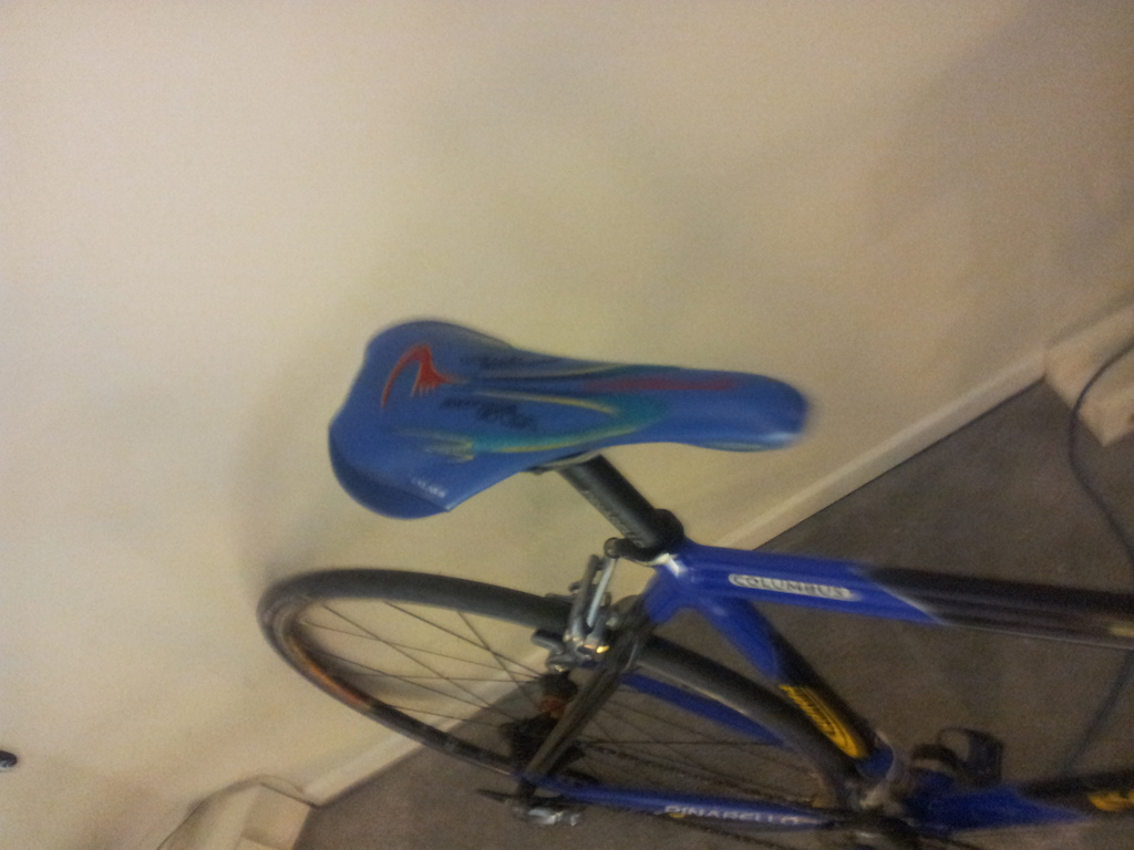 2005 Pinarello Pavan