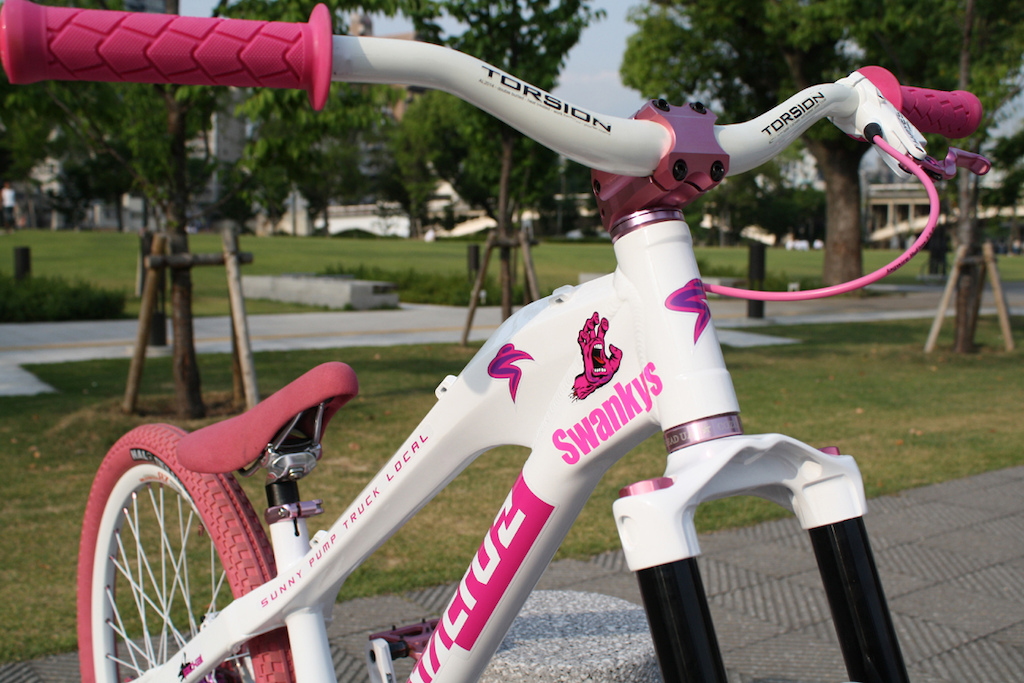 CRAZY PINK SPECIAL 
SANTACRUZ JACKAL