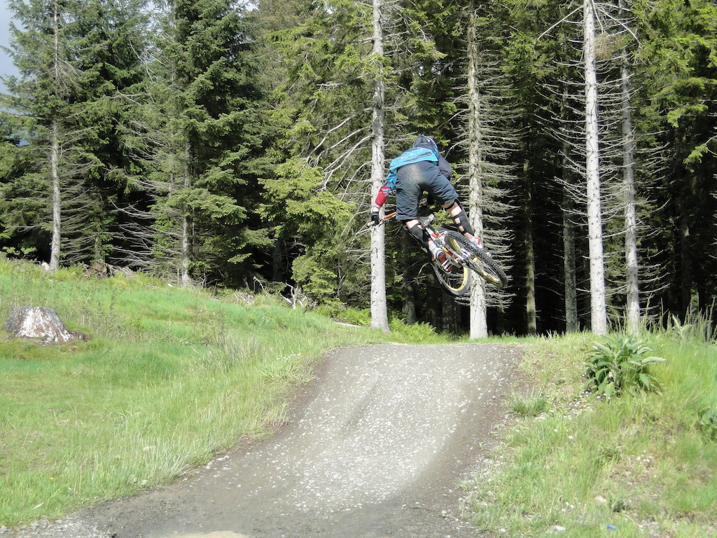 2012 Whip