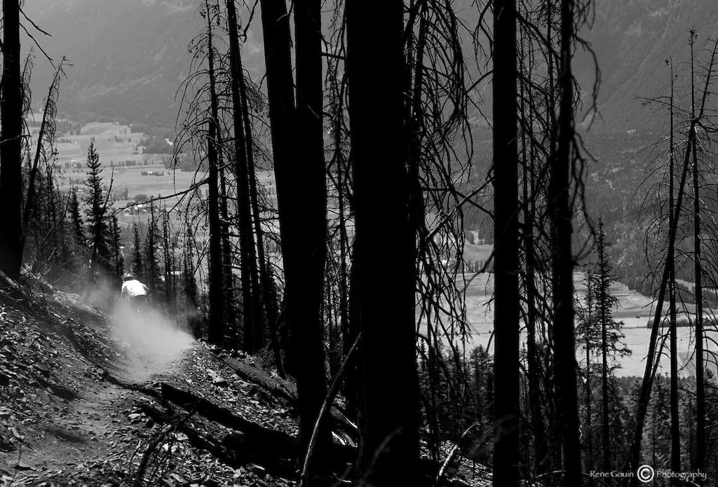 Riding through the burning trees in Pemberton Bc Canada

Rene Gouin Photo