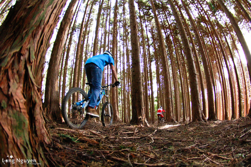 Andrew Taylor from Marin Bikes heads to Japan for the Jagaround Mountain Bike Festival.