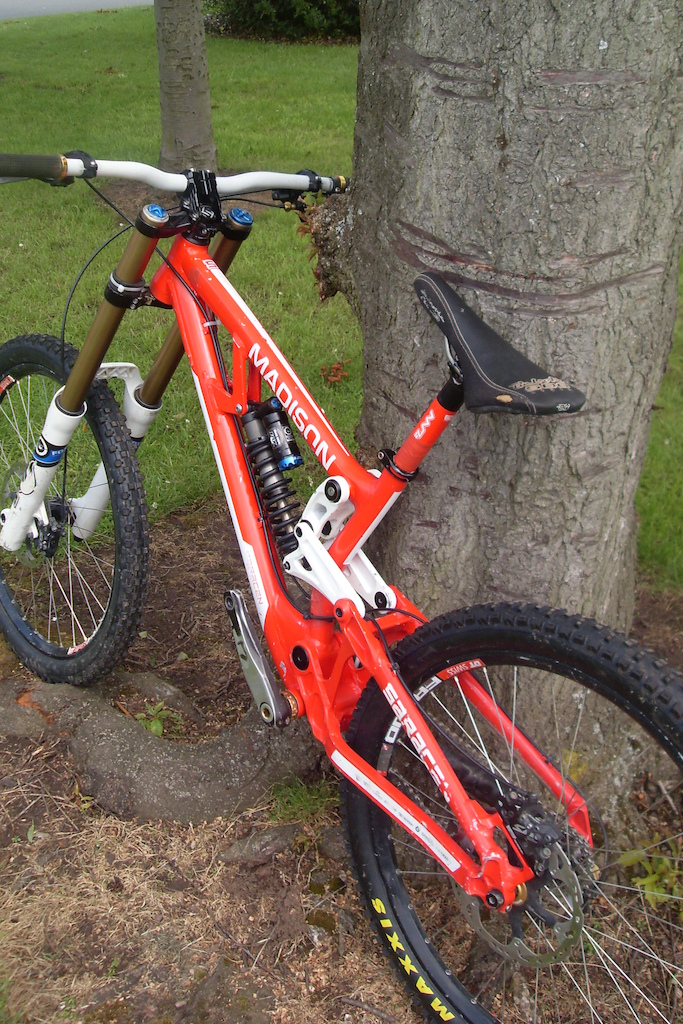 Saracen Myst Team Edition