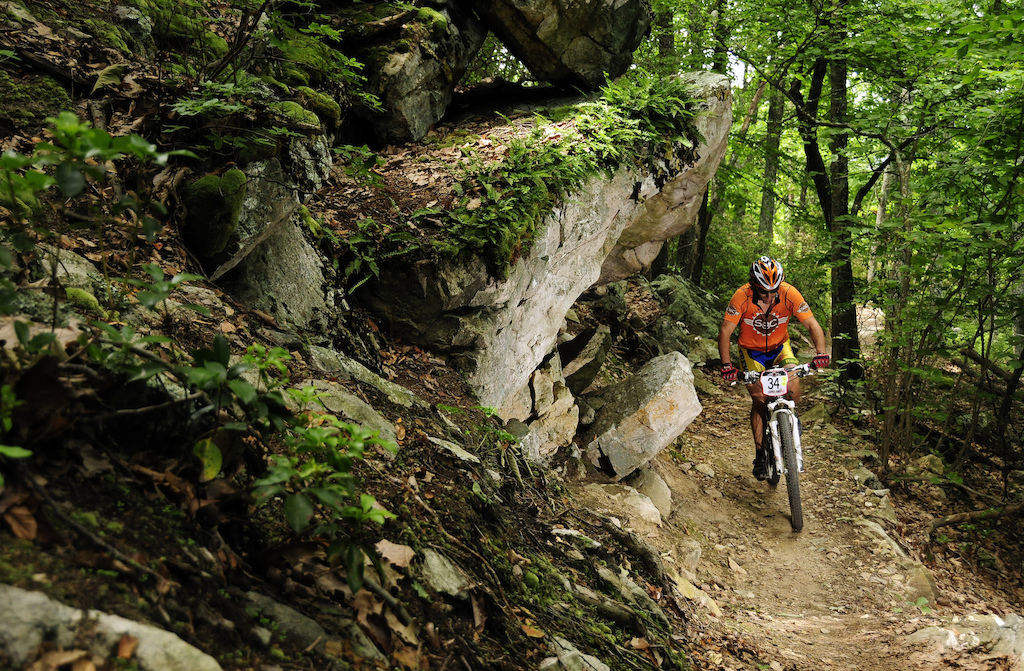 Shenandoah Bicycle Company