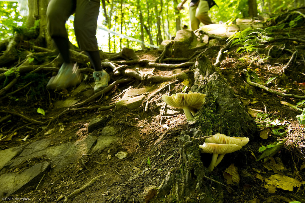It's bone dry here for a change. Mostly. But in the deep woods, there's still some loamy hero dirt.