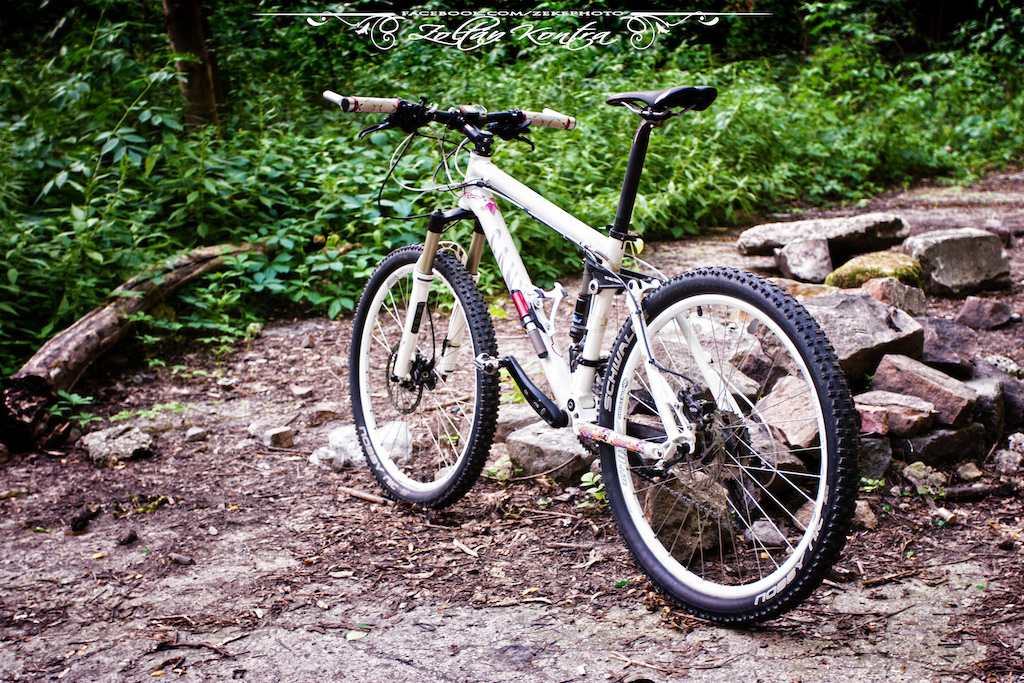 Parts of Canyon Nerve XC