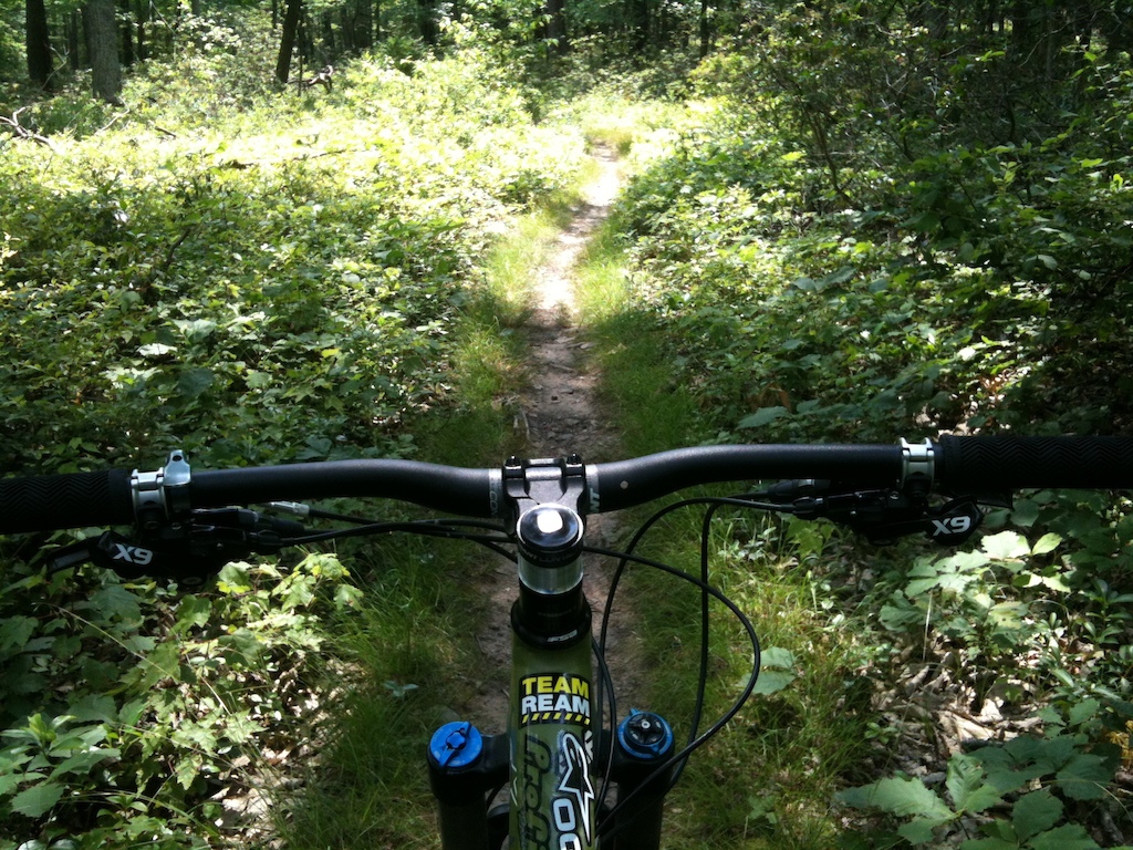 GoPro chest mount through a fun mellow trail in Rothrock State Park