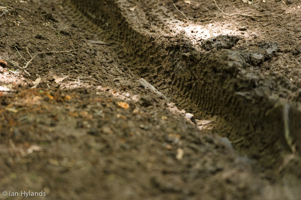 By the end of the day there were some serious ruts forming...