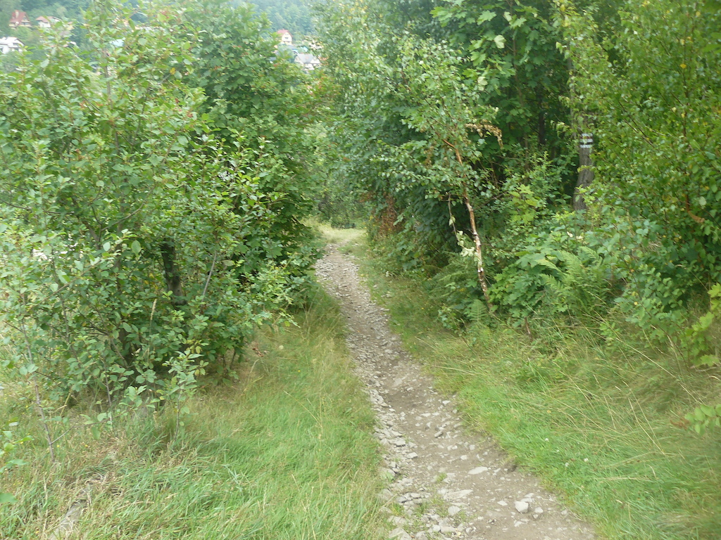 ... and singletrack goes on, it was pretty nice way to ride down from the tip.