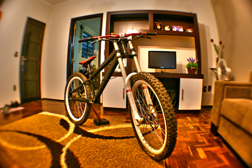SONY DSC