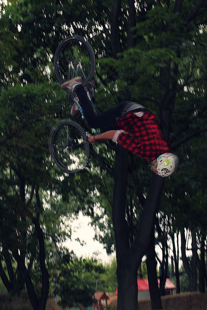 Backflip
