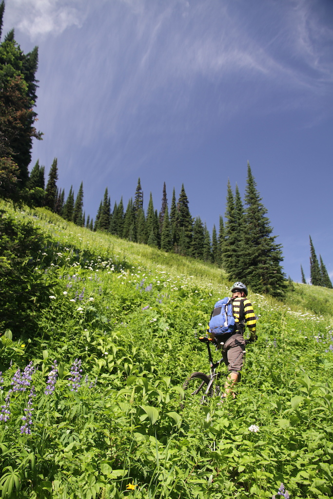 Josh Mt HAB 11th August 2012 - Hike-a-bike on the Josh Mt NE trail