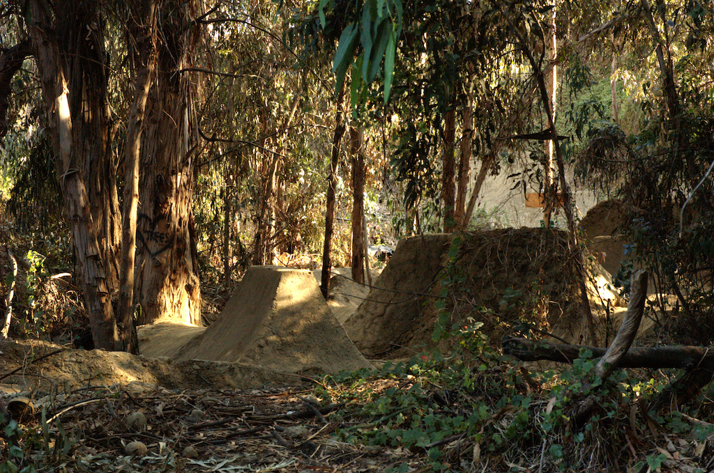 Trails