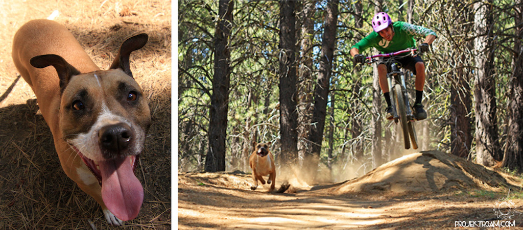 Colt and his dog shredding whoops trail in Bend, OR.