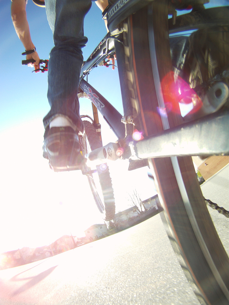 Wheelie into the sun, love this picture.