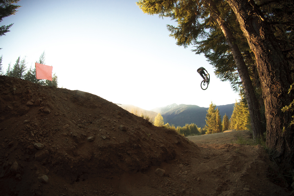 Go knows steeze