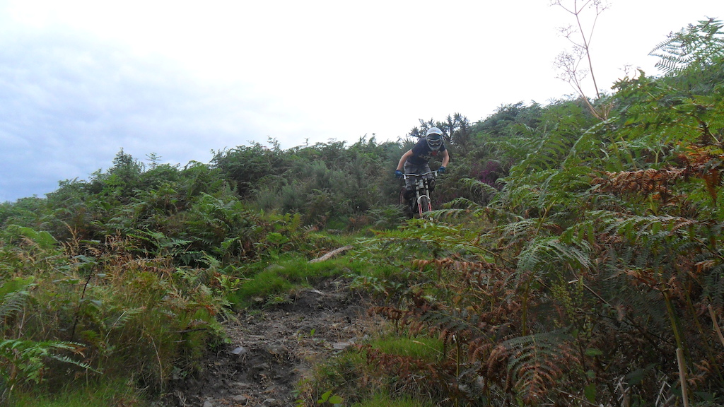 few shots of a trail i came accross on the dartmoor.