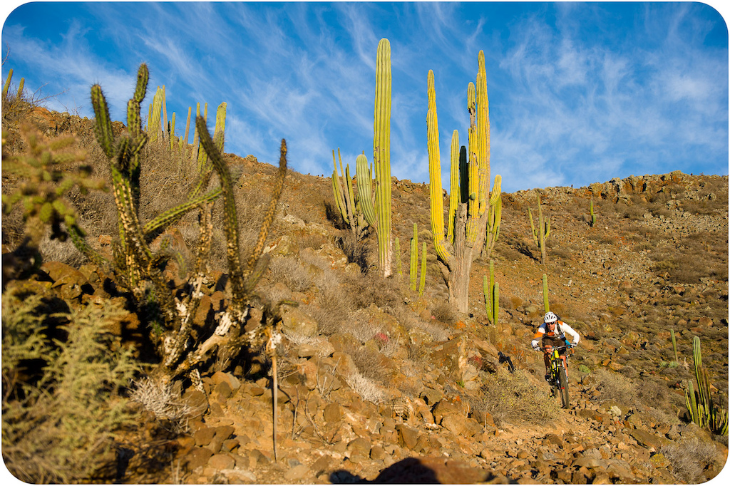 Brian Lopes and Richie Schley ride the mesa trail down through the cactus garden at Punta San Carlos.